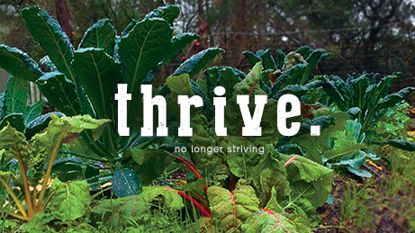 thrive_web